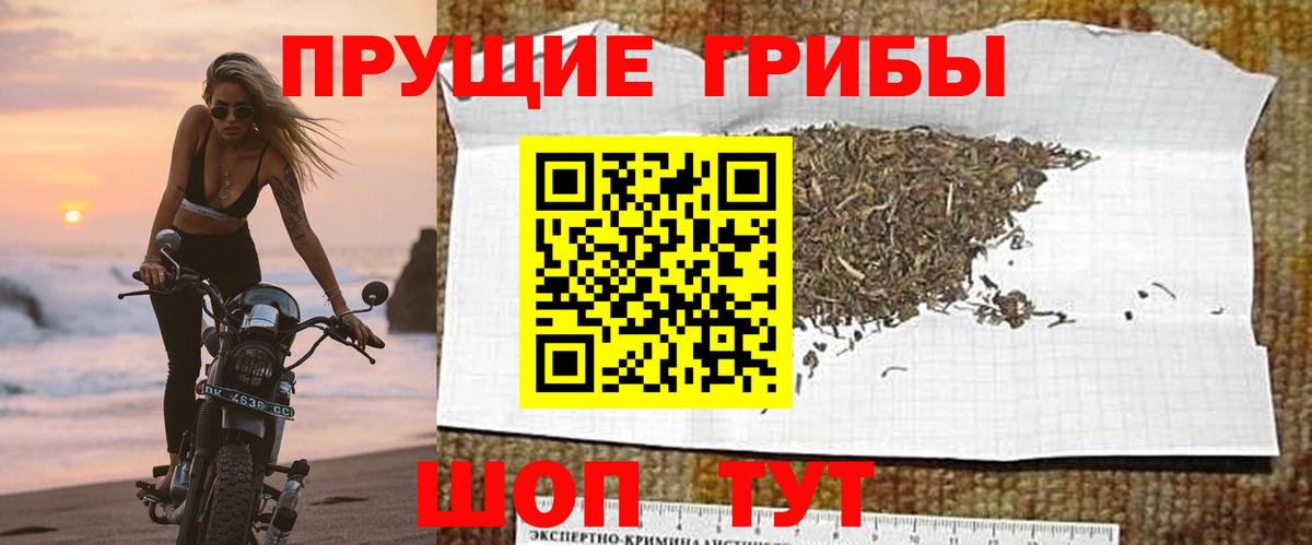 Галлюциногенные грибы GOLDEN TEACHER Комсомольск-на-Амуре